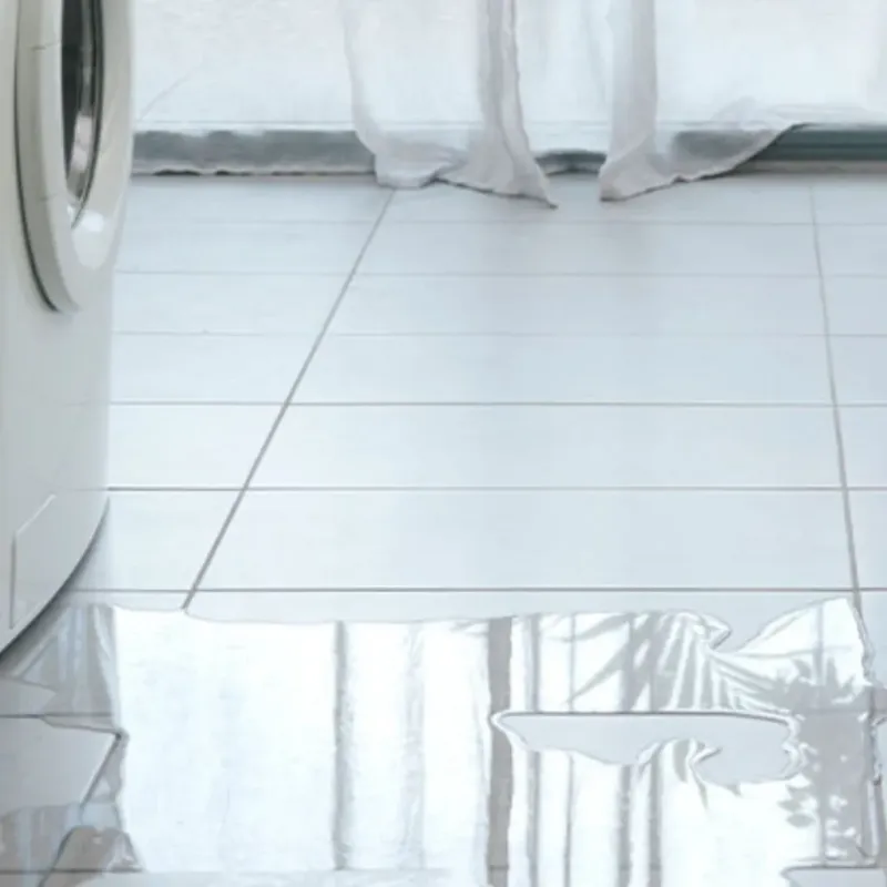 Appliance Leak Cleanup in Saraland, AL