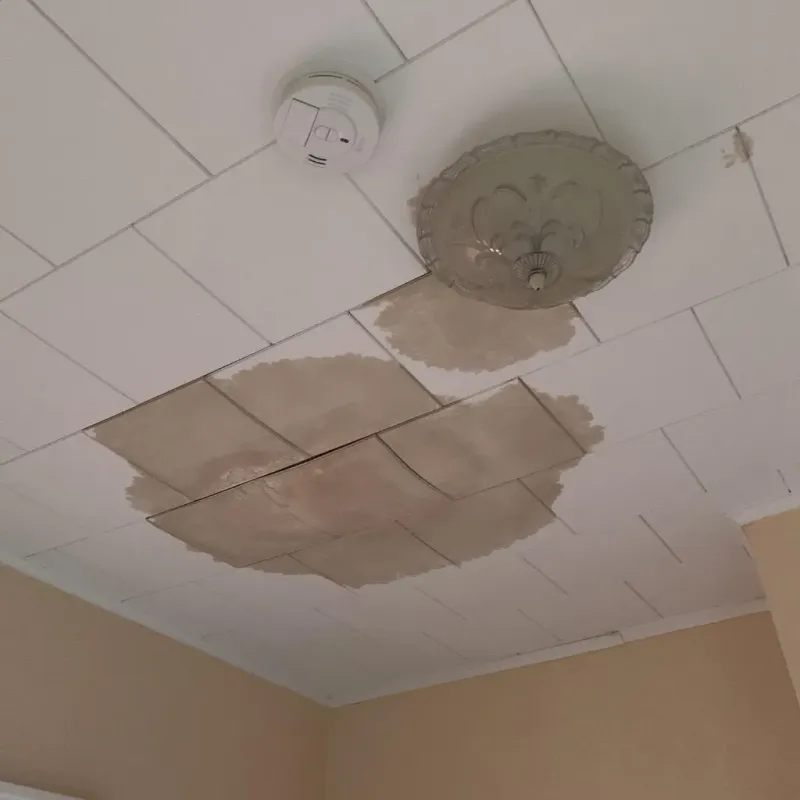 Ceiling Water Damage Repair in Saraland, AL